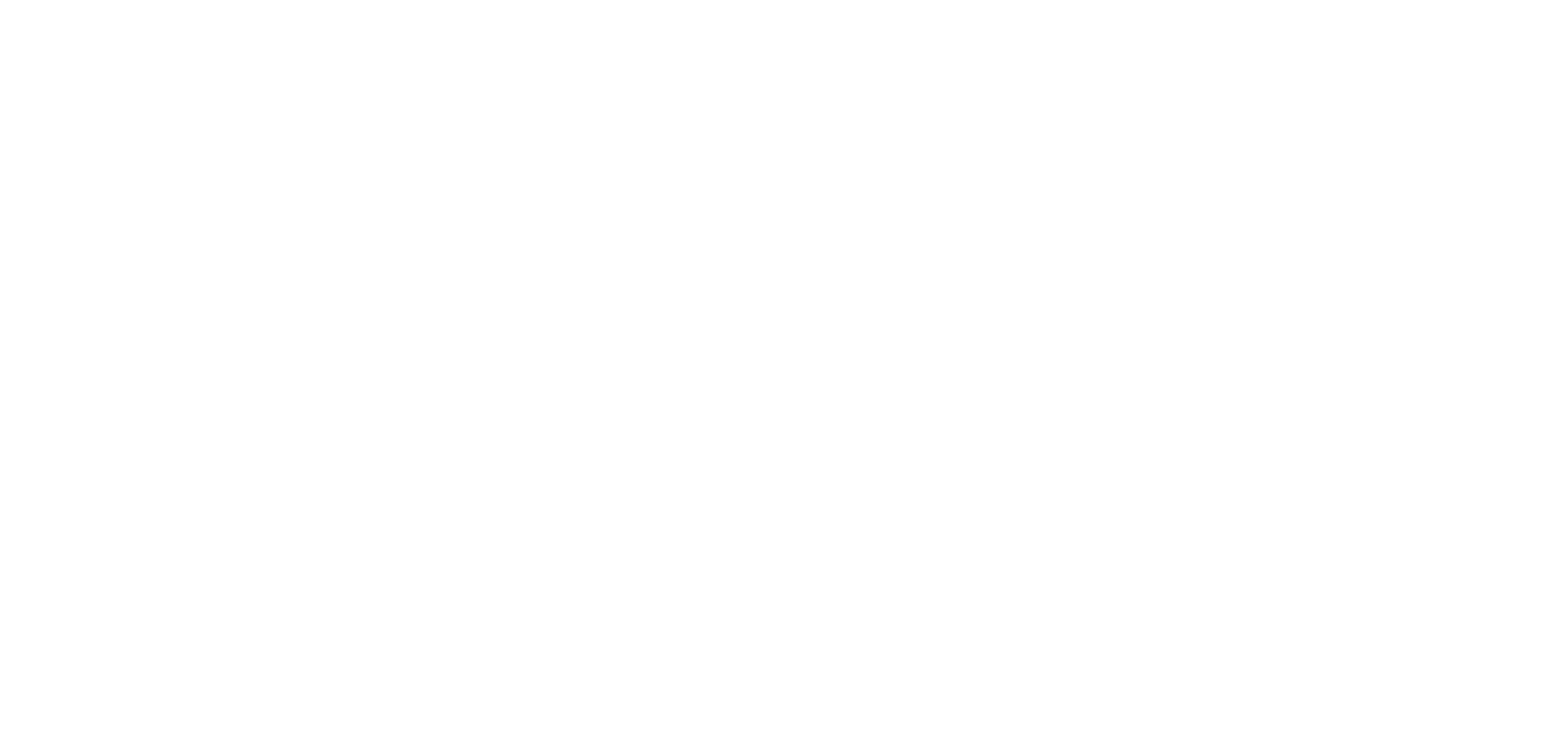 Team Dut Logo